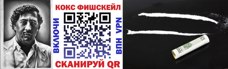 COCAIN Fish Scale  Купить  Короча 