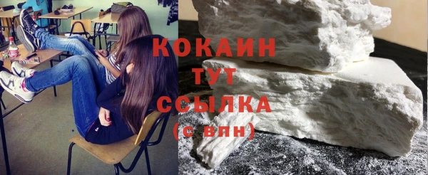 дживик Краснослободск