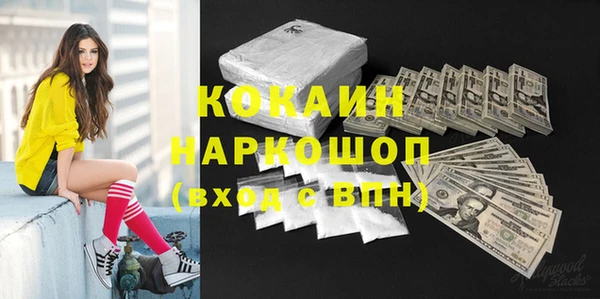 дживик Краснослободск